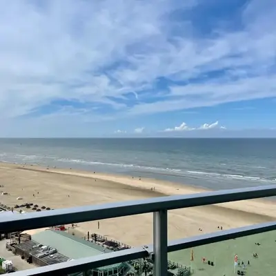 Zwarte Vis