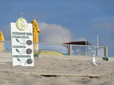 a seagull standing next to a sign on the beach at Family Stay Zandvoort - Free parking in Zandvoort