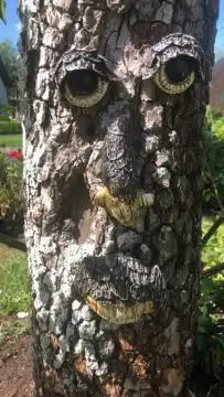 a face painted on the side of a tree at B&B De Beijersche Stee , Logies in de Wagenschuur in Stolwijk