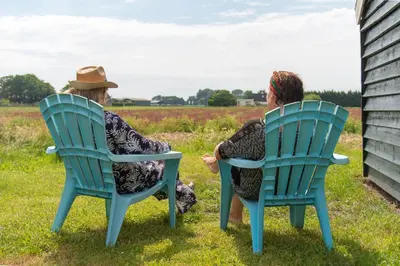 two women sitting in green chairs in the grass at Het Zomerhuis in Egmond-Binnen