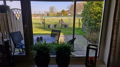 a view of a patio with a table and animals through a window at Hemmer Hofstede in Hem