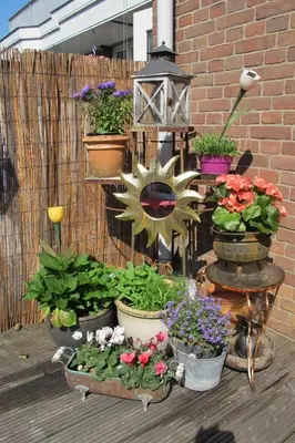 a bunch of flowers in pots on a deck at Wild Roses in Amsterdam