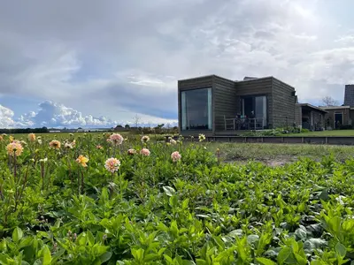 a house in a field with flowers in front of it at Blossombed in Voorhout
