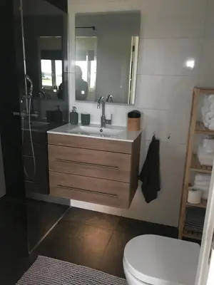 a bathroom with a sink and a toilet and a mirror at Blossombed in Voorhout