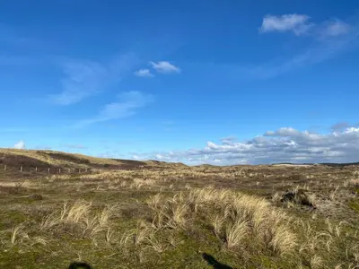 a field with tall grass and a blue sky at 8atsea Deluxe Dune Villa Schoorl in Schoorl