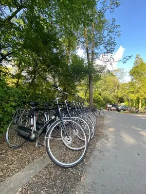 a row of bikes parked next to a street at Camping Vliegenbos in Amsterdam