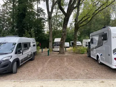 two recreational vehicles parked next to a tree at Camping Vliegenbos in Amsterdam