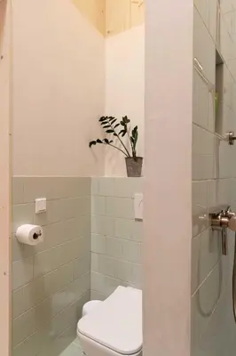 a bathroom with a toilet and a shower with a plant at Noorderbed in Amsterdam