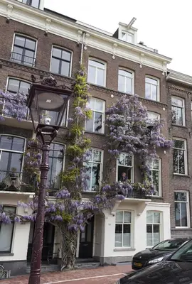 a building with a flowering tree in front of a street light at B&B Amsterdam Amstel Apartment in Amsterdam