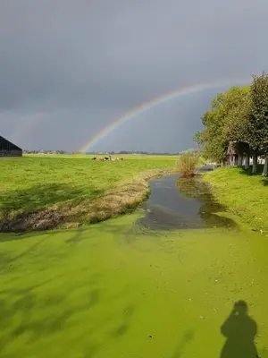 a rainbow in the sky over a green field at B & B De Tocht in Berkhout
