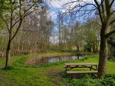a picnic table in a park next to a pond at B & B De Tocht in Berkhout