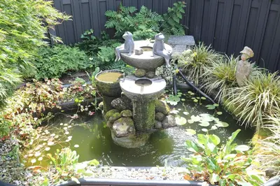 a garden with a fountain in the middle of a pond at Sunnybeachhouse aan het bos, tussen zee en meer. in Noordwijkerhout