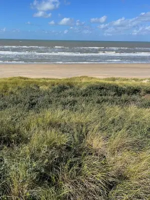 a beach with grass and the ocean in the background at Studio34 Zandvoort free parking in Zandvoort