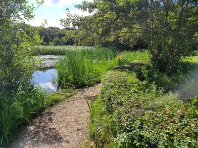 a path leading to a pond in a field at Pension Canberra in Bergen aan Zee