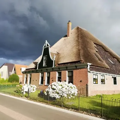 B&B Suyder Cogge