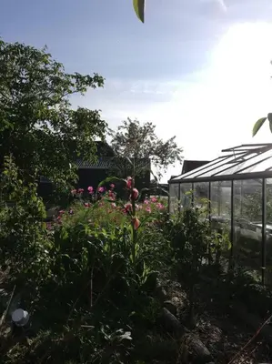 a garden with pink flowers and a greenhouse at De Kaasmakerij - Ruim vakantiehuisje op Huize Blokland in Hem