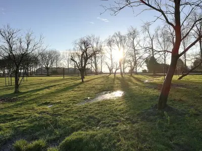 a field with trees and the sun in the distance at 't Winkeltje - Vakantiehuisje op boerderij Huize Blokland in Hem