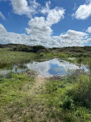 a body of water in the middle of a field at Zomerhuis Beach EnJoy in Egmond aan Zee