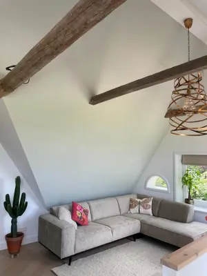 a living room with a couch and a cactus at de Zuiderstolp in Zuidermeer
