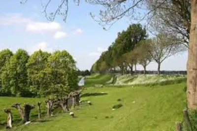 a field with animals grazing in a field with trees at Studio, 21 minutes by bus to downtown Amsterdam in Purmerend