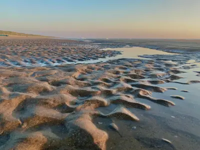 a beach with rocks in the sand and water at Ferienhaus Noordwijk Zee & Strand in Noordwijk