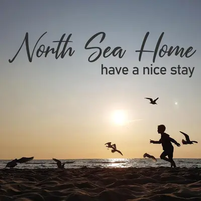 a boy running on the beach with seagulls at Have a nice stay! - North Sea Home in Noordwijk aan Zee