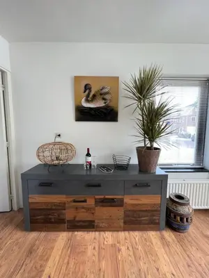 a dresser in a living room with a potted plant at 't Zwanennest Egmond aan Zee in Egmond aan Zee