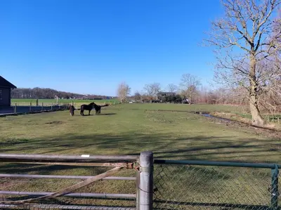 a horse standing in a field next to a fence at Tiny house Wakker in Eemnes