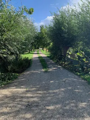 a dirt road with trees on both sides at De Porrel Polsbroek Unit met Privé Jacuzzi, Spa en Sauna in Polsbroek