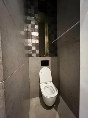 a bathroom with a toilet with a mirror at Boutique Amsterdam Homestay in Amsterdam