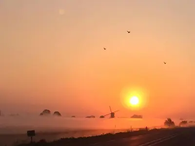 a misty sunrise with the sun and a windmill at Near Amsterdam, The Hague, Leiden and North Sea in Warmond