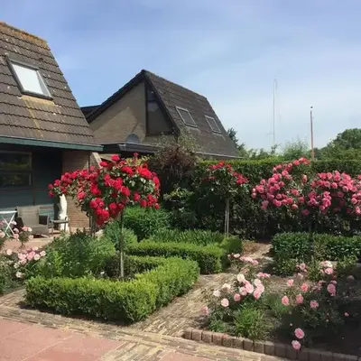 Near Amsterdam