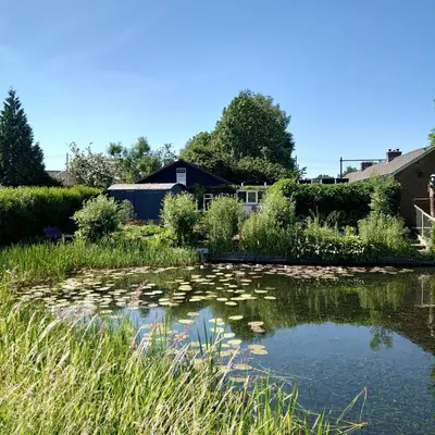 a pond with lily pads in a yard at B en B Sluisje 1818 in Utrecht