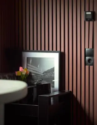 a television on a wall with a picture on it at Houseboat-Amsterdam-Classic in Amsterdam