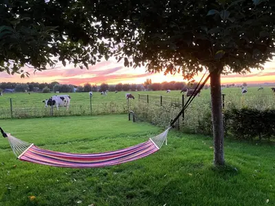 a hammock hanging from a tree in a field with cows at Farmhouse with terrace in Montfoort in Montfoort