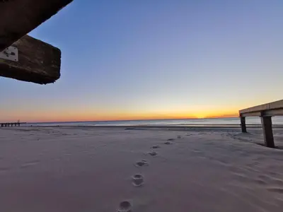 a beach with footprints in the sand and a bench at De Witte Vos in Egmond aan Zee