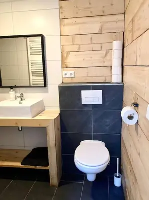 a bathroom with a white toilet and a sink at Cosy beach house for ocean & nature lovers in Noordwijk