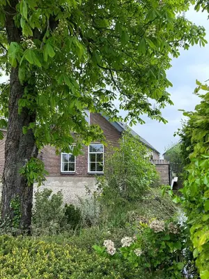 an old brick house with a tree in the foreground at Boutique appartement vlak bij Amsterdam in Rijnsaterwoude