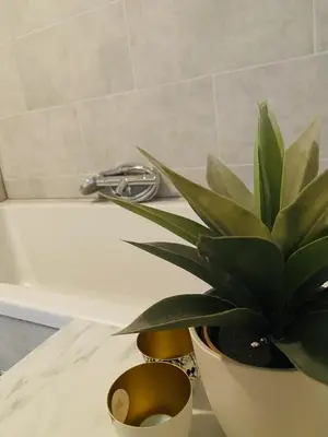 a potted plant sitting on a counter next to a bath tub at By Balu in Soest
