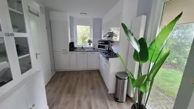a kitchen with white cabinets and a potted plant at villachiller in Sint Maarten