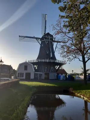 a windmill with a pond in front of it at De Oude Pastorie in Bunschoten