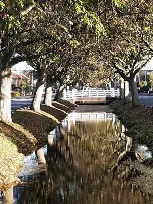 a river with trees and a white fence and a road at De Oude Pastorie in Bunschoten