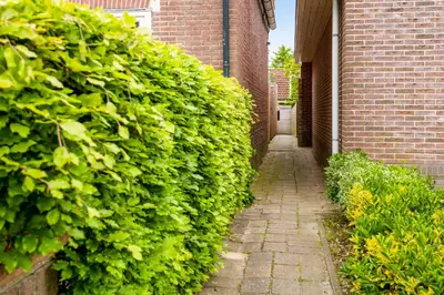 an alley with a hedge next to a brick building at B&B Hendricus in Hoofddorp
