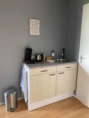 a kitchen with a sink and a counter top at Bed en Breakfast In het Fruit in Zuidoostbeemster