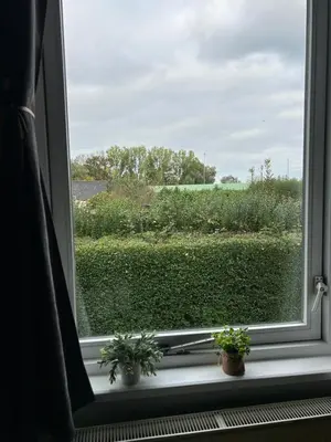 a window with two potted plants on a window sill at Bed en Breakfast In het Fruit in Zuidoostbeemster