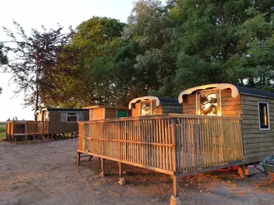a cabin with a large wooden deck in front of trees at The Cuckoo's nest in Amsterdam