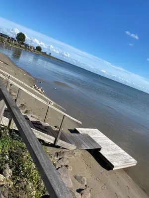a picnic table on the beach next to the water at Seaside in Bovenkarspel