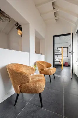 two brown chairs in a room with a mirror at Villa La Chatelaine in Egmond aan Zee