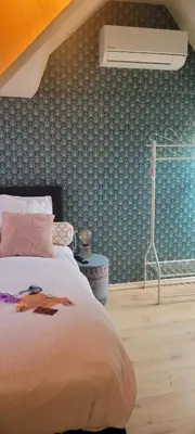 a bedroom with a bed and a blue wall at Boutique B&B Dolce Due in Assendelft