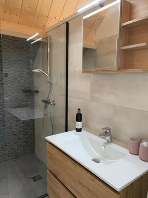 a bathroom with a sink and a shower with a bottle of wine at B&B De Porrel in Polsbroek